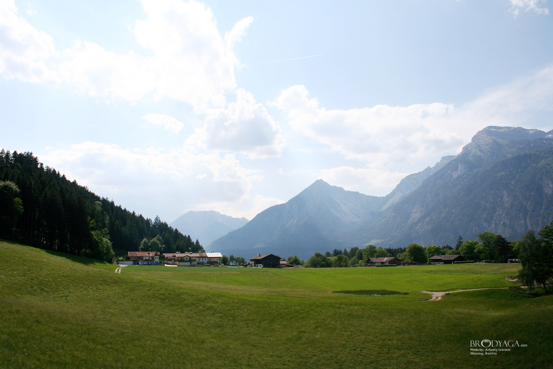Wiesing